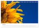 Thumbnail-12