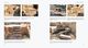 Thumbnail-13