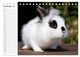 Thumbnail-14