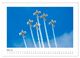 Thumbnail-10