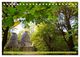 Thumbnail-12