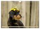 Thumbnail-10
