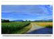 Thumbnail-8