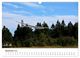 Thumbnail-14