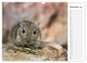 Thumbnail-14