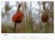 Thumbnail-11