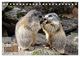 Thumbnail-10