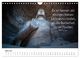 Thumbnail-9