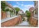 Thumbnail-14