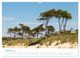 Thumbnail-12