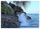 Thumbnail-9