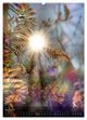 Thumbnail-9
