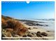 Thumbnail-9