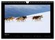 Thumbnail-9