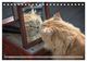 Thumbnail-12