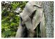 Thumbnail-11
