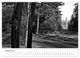 Thumbnail-11