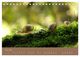 Thumbnail-10