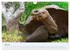 Thumbnail-9