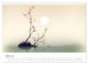 Thumbnail-8