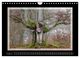 Thumbnail-13