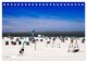 Thumbnail-13
