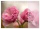 Thumbnail-12