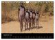 Thumbnail-14