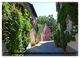 Thumbnail-12
