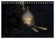 Thumbnail-11