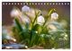 Thumbnail-8
