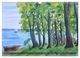 Thumbnail-11