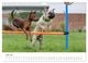 Thumbnail-12