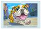 Thumbnail-7