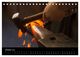 Thumbnail-12