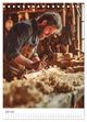 Thumbnail-9