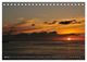 Thumbnail-10
