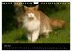 Thumbnail-11