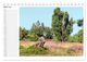 Thumbnail-9