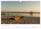 Thumbnail-14