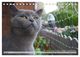 Thumbnail-12