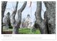 Thumbnail-12