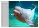 Thumbnail-12