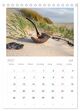 Thumbnail-11