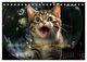 Thumbnail-8