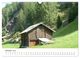 Thumbnail-12