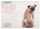 Thumbnail-4
