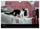 Thumbnail-8