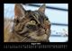 Thumbnail-12