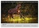 Thumbnail-9